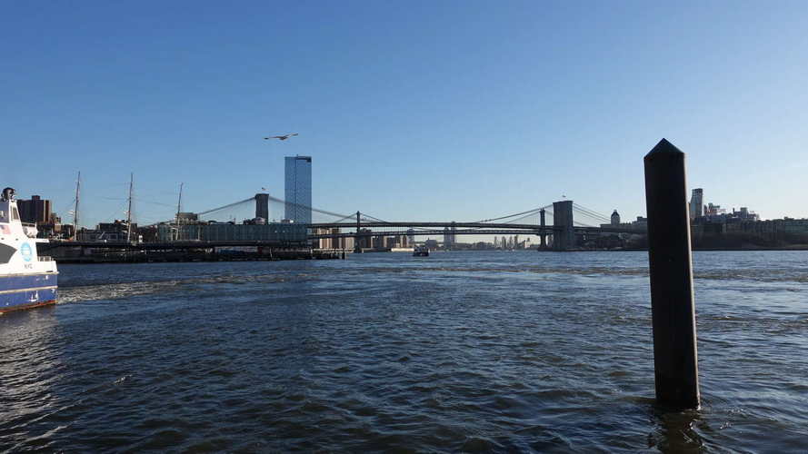 NYC_2024-02-05 08-08-52_RX_07349